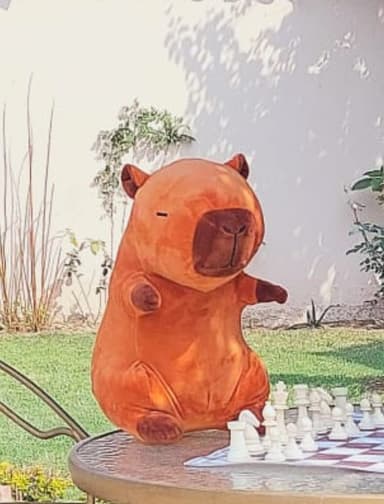 Foto de la mascota Gauchito